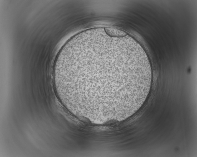 X0000115261435200912111130