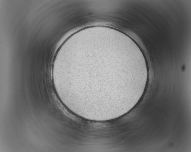 X0000115261436200912111130