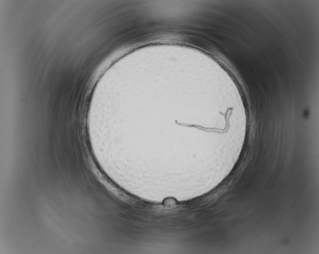 X0000115261437200912111130