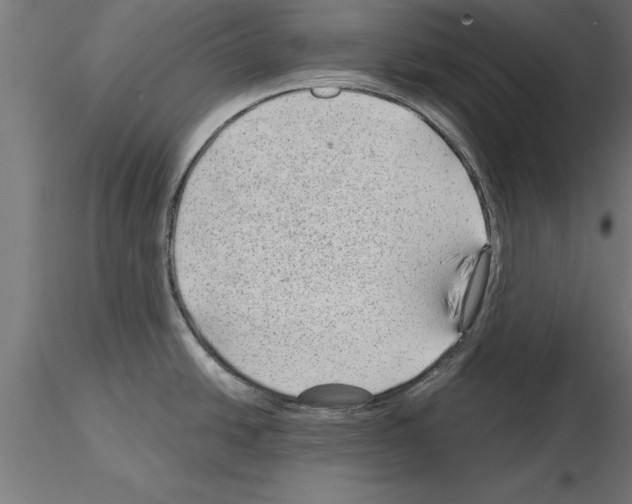 X0000115261438200912111130