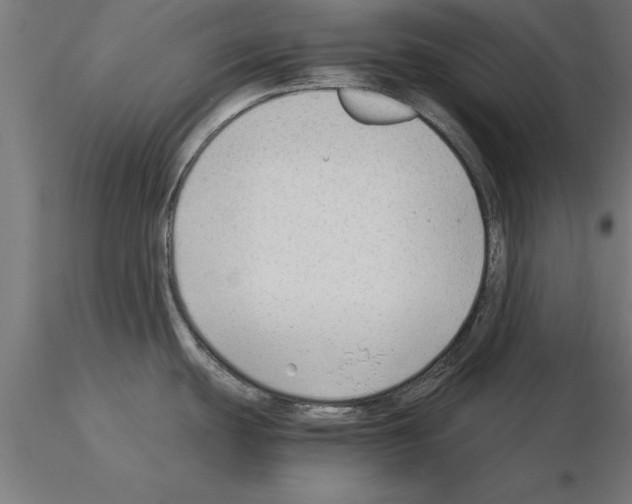 X0000115261439200912111130