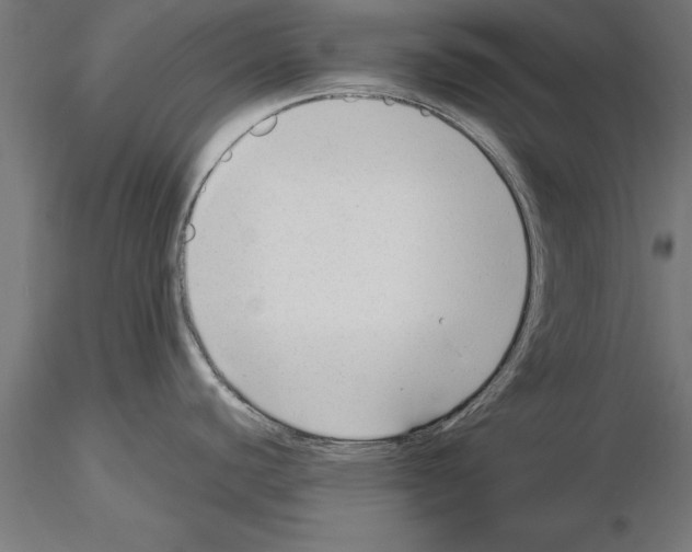 X0000115261440200912111130