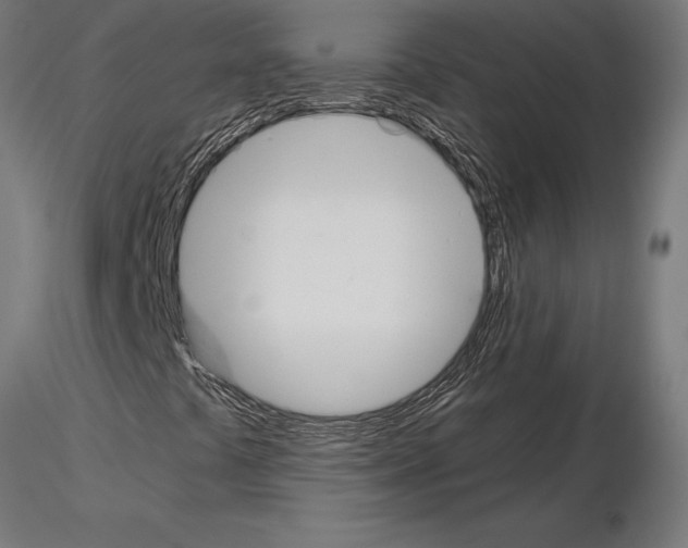 X0000115261441200912111129