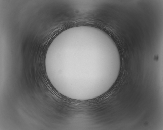 X0000115261444200912111129