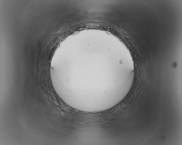 X0000115261445200912111129