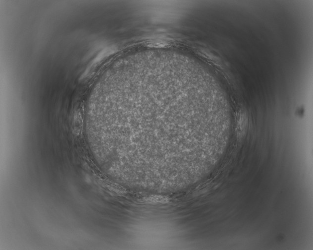 X0000115261446200912111129