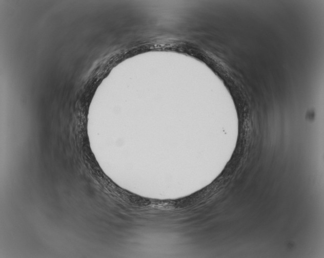 X0000115261447200912111129