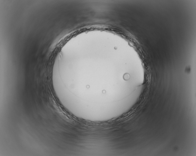 X0000115261448200912111129