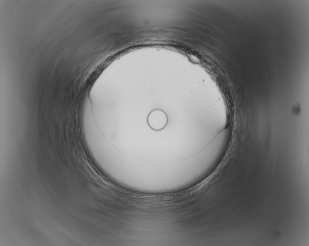 X0000115261449200912111129