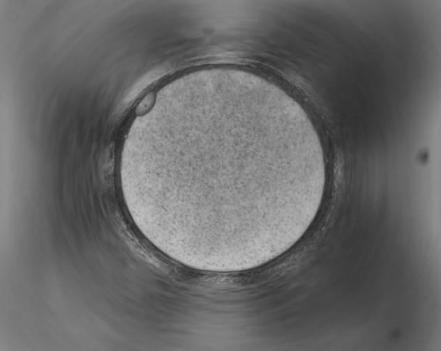 X0000115261450200912111129