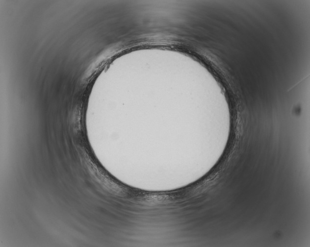 X0000115261451200912111129