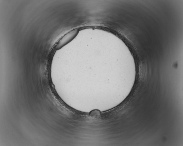 X0000115261452200912111129