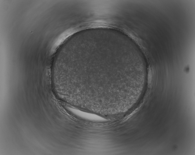 X0000115261453200912111129