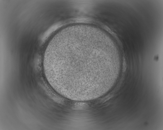 X0000115261454200912111129