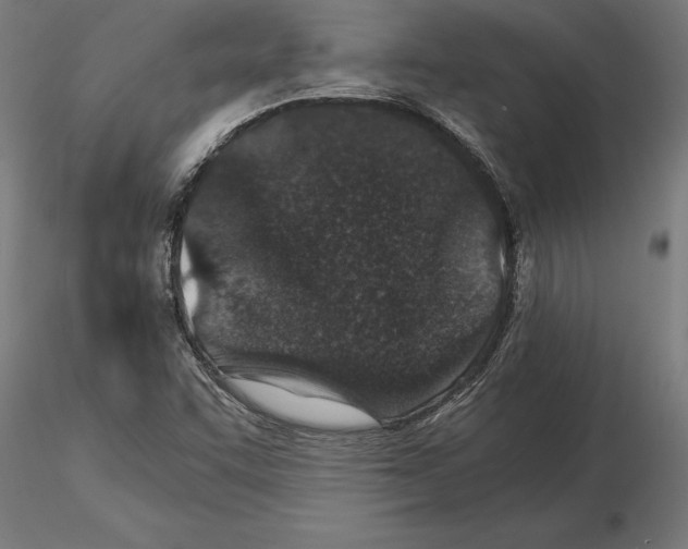 X0000115261455200912111129