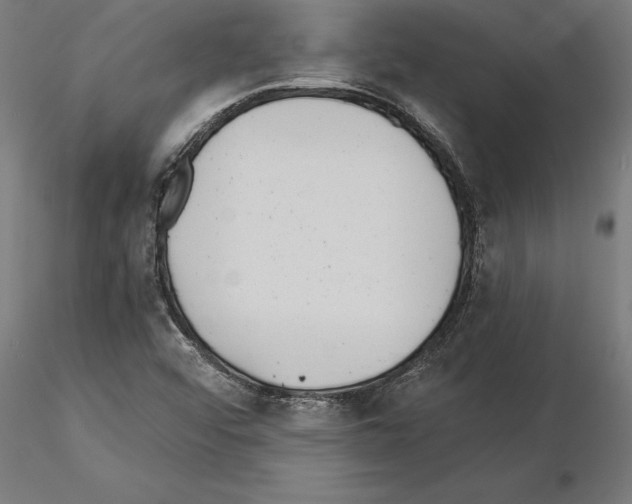 X0000115261456200912111129