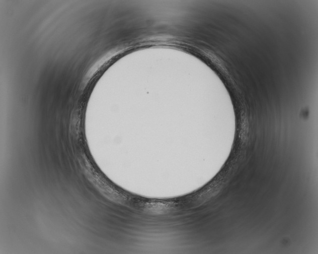 X0000115261458200912111129