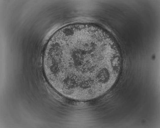 X0000115261459200912111129