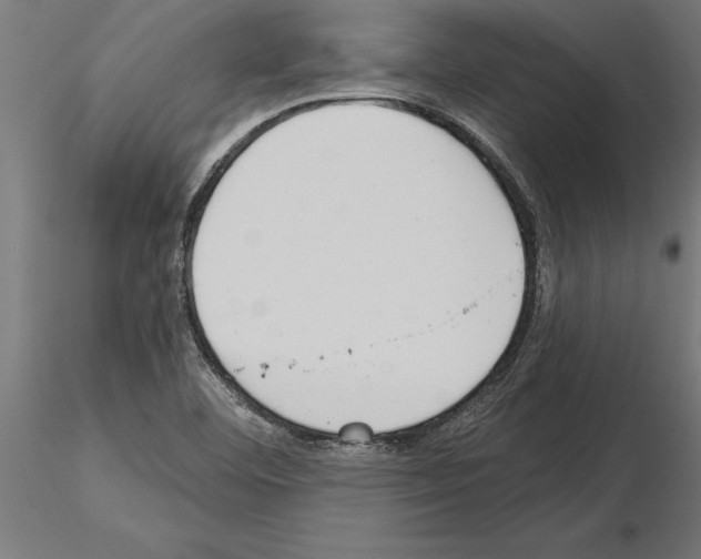 X0000115261460200912111129