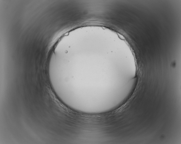 X0000115261461200912111129