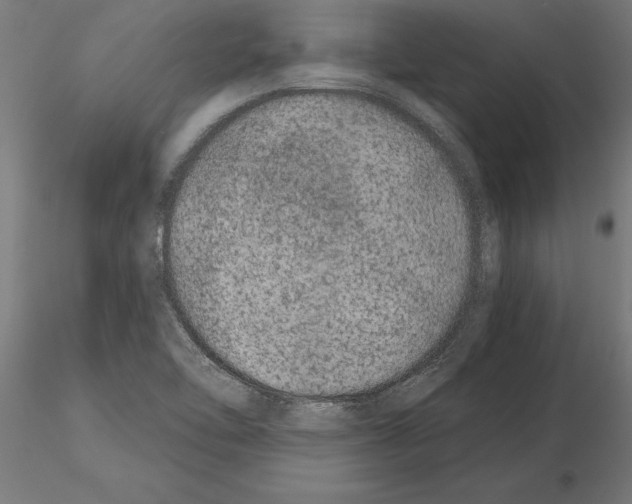 X0000115261462200912111129