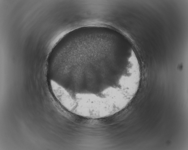 X0000115261463200912111129