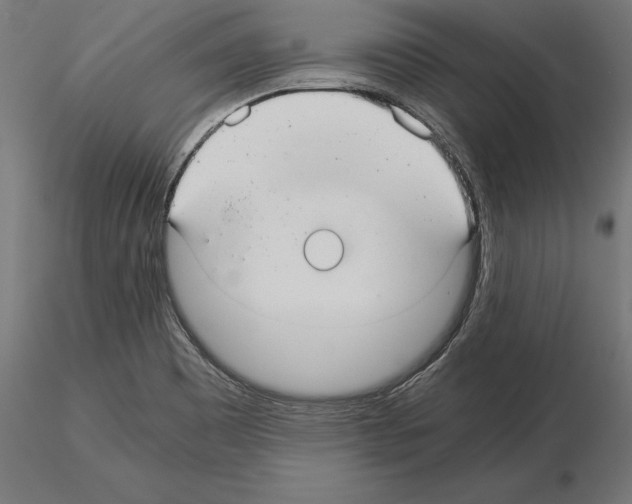 X0000115261465200912111129