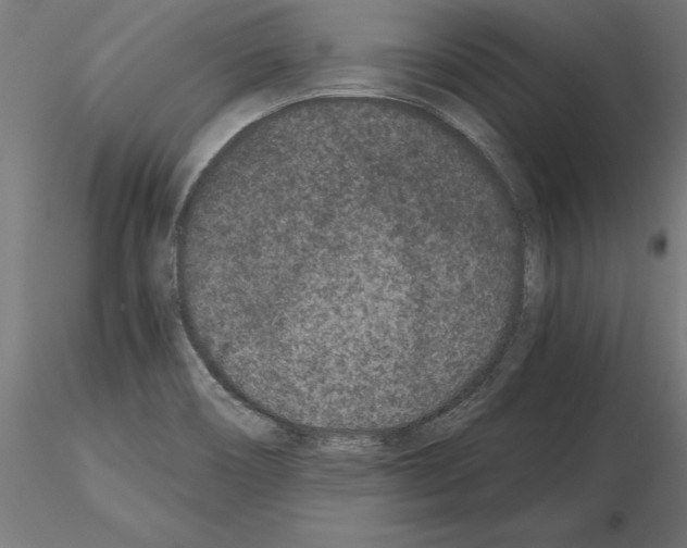 X0000115261466200912111129