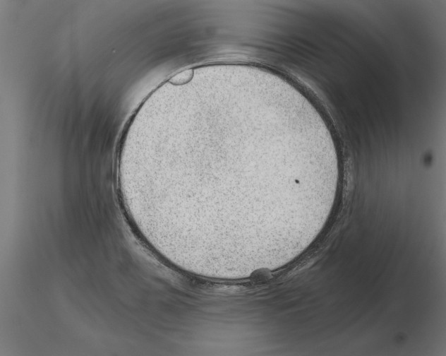 X0000115261467200912111129