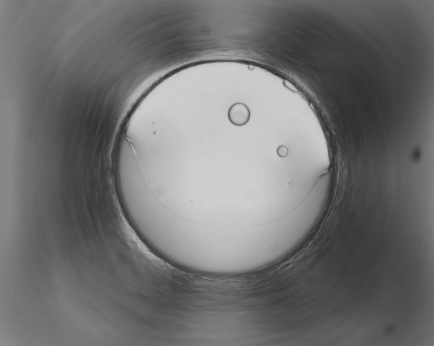 X0000115261468200912111129