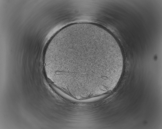 X0000115261469200912111129