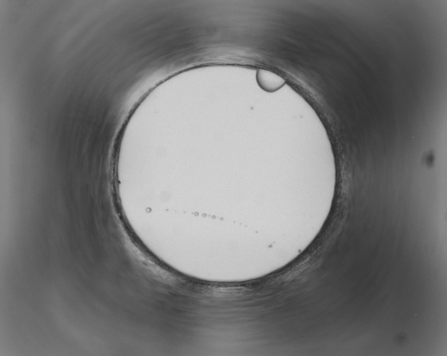 X0000115261471200912111129