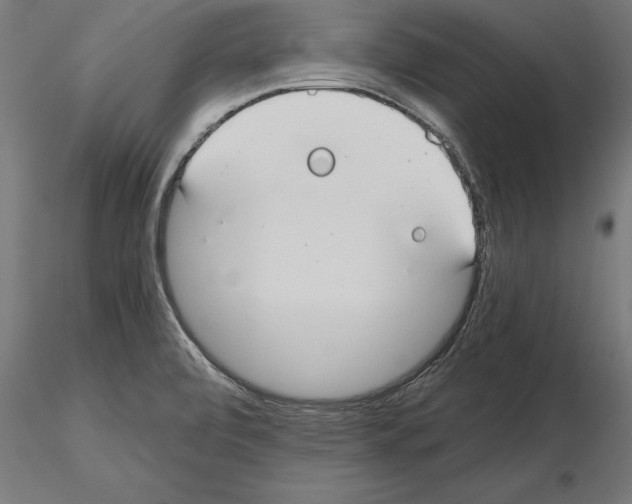 X0000115261472200912111129