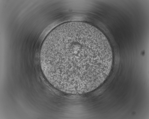 X0000115261473200912111129