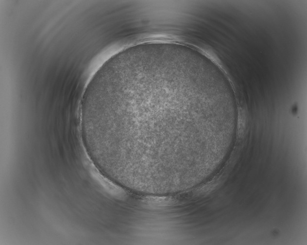 X0000115261474200912111128