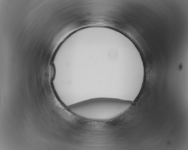 X0000115261476200912111128