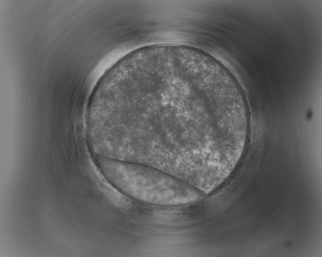 X0000115261477200912111128