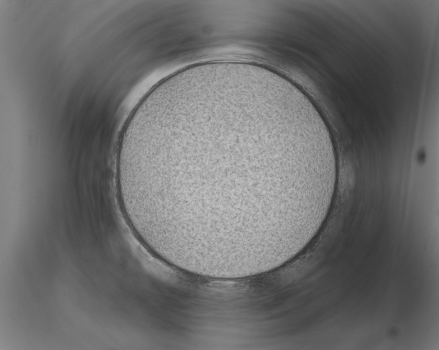 X0000115261478200912111128