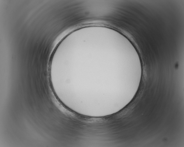 X0000115261482200912111128