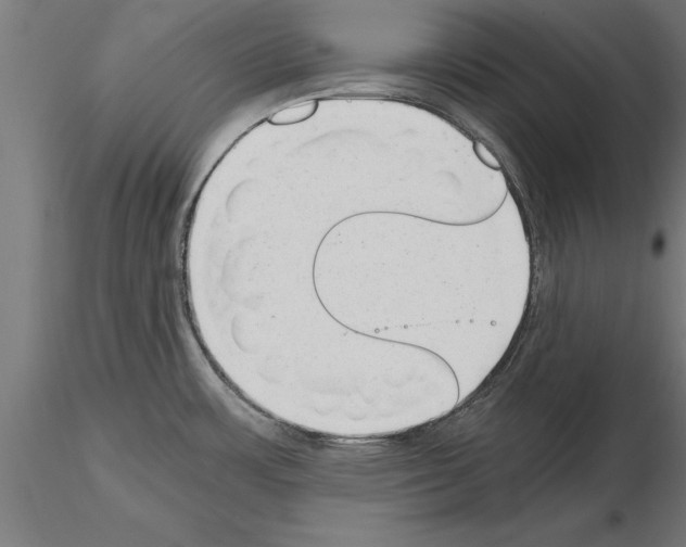 X0000115261483200912111128