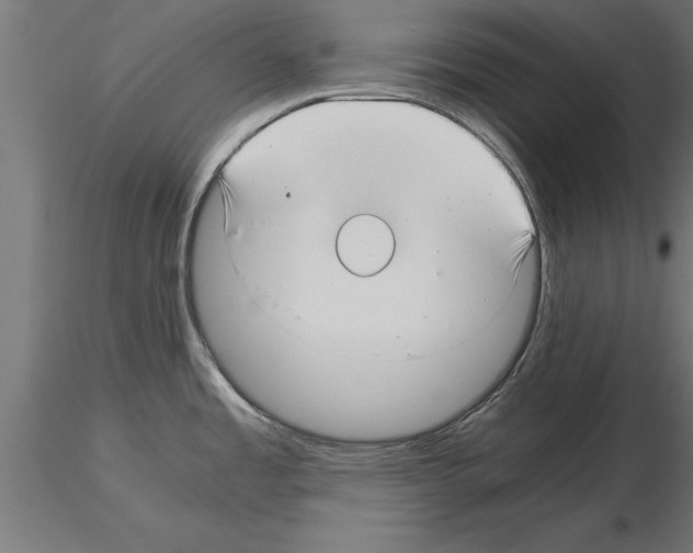 X0000115261485200912111128