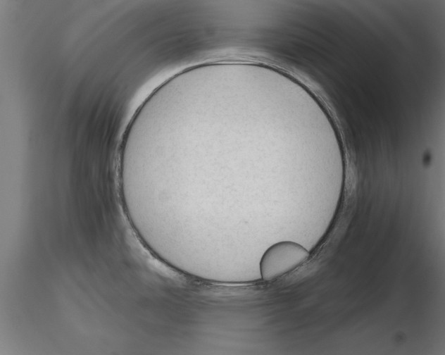 X0000115261486200912111128