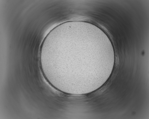 X0000115261487200912111128