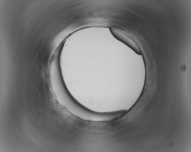 X0000115261488200912111128