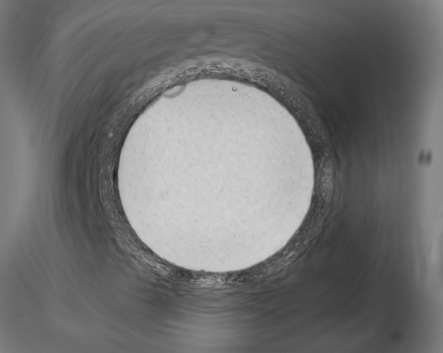 X0000115261489200912111128