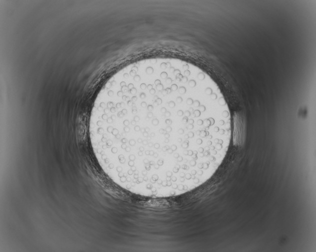 X0000115261491200912111128