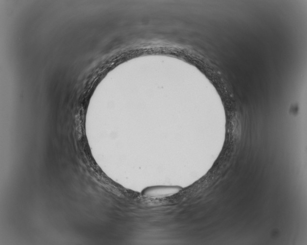 X0000115261493200912111128