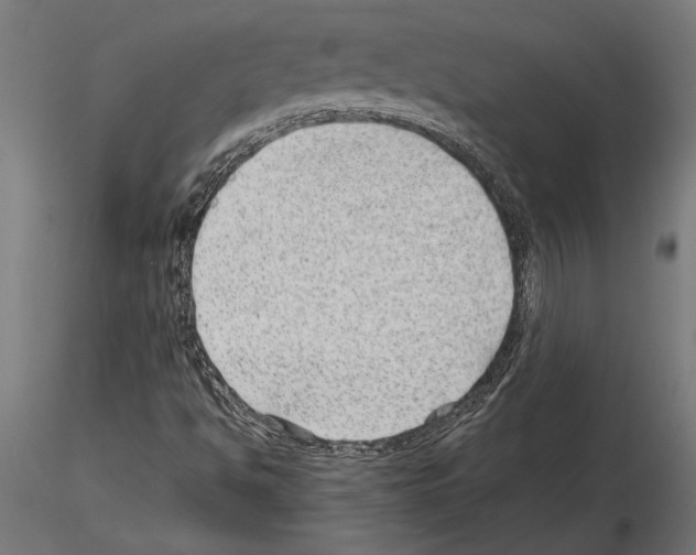 X0000115261494200912111128