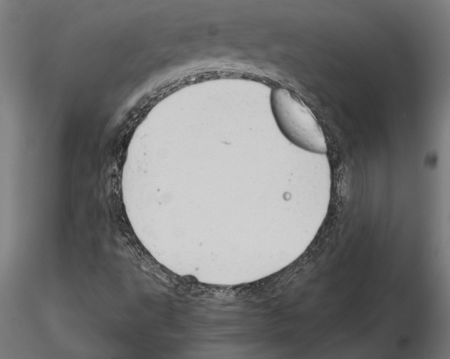 X0000115261495200912111128