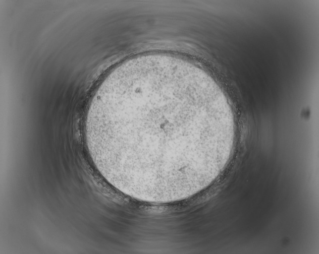 X0000115261497200912111128